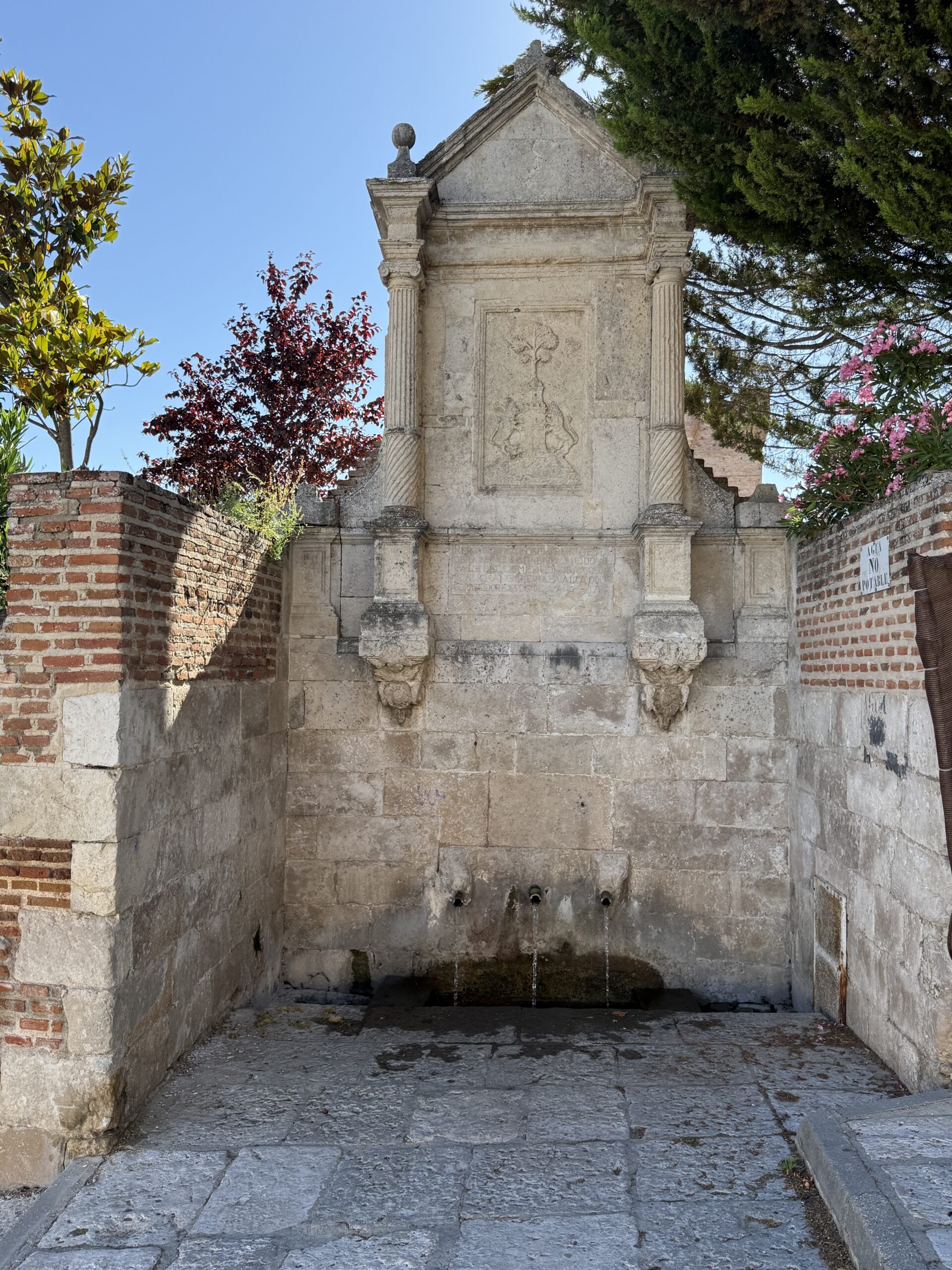 Fuente caño nuevo