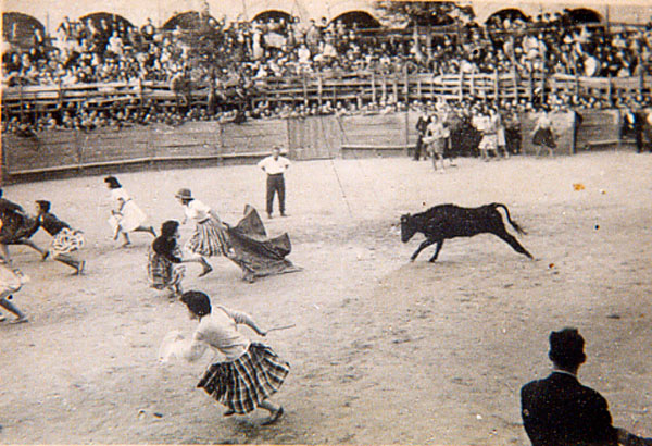 toros