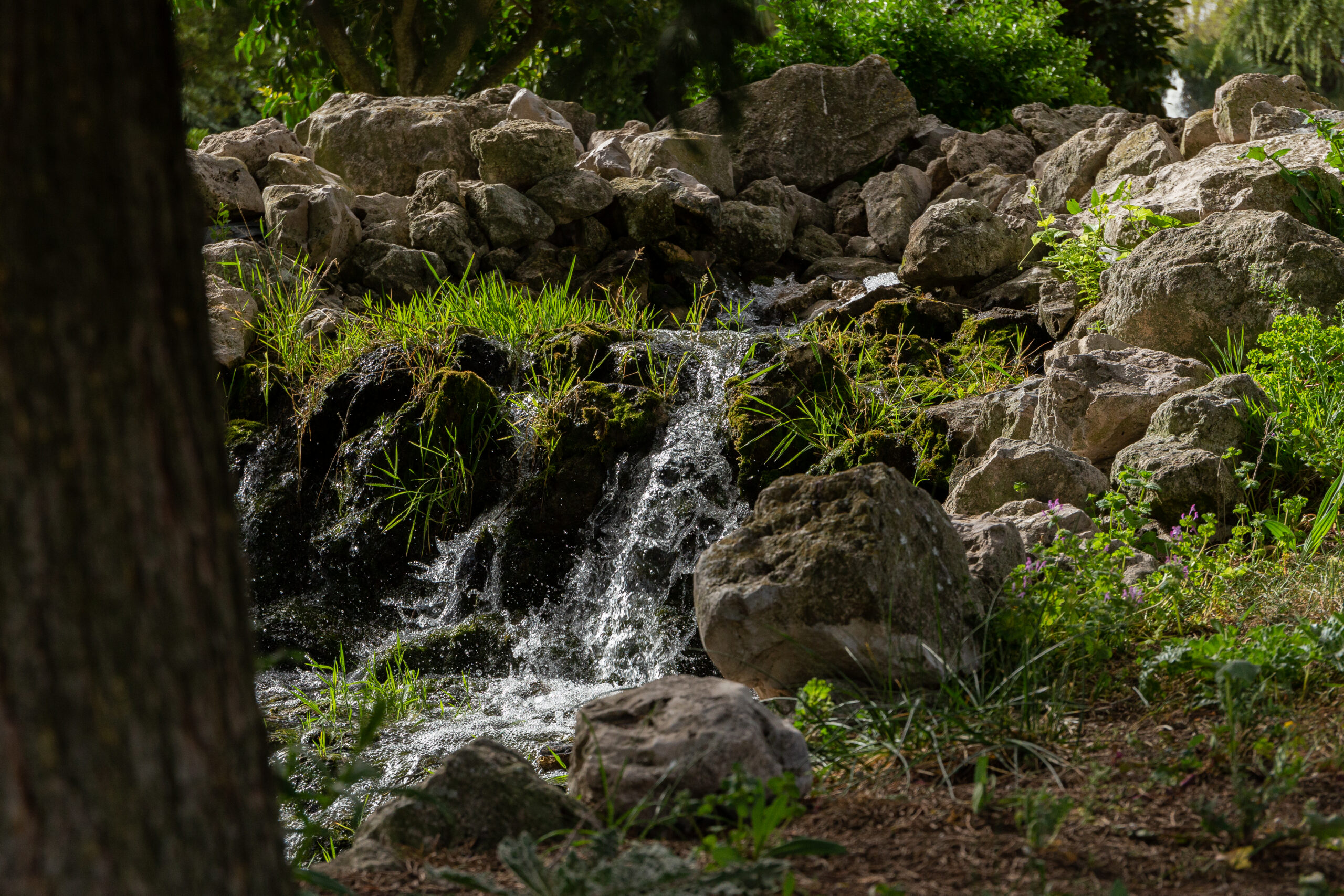 Río dentro del parque Mudéjar