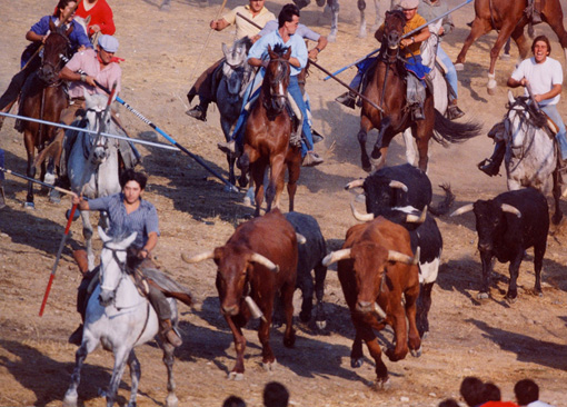 Foto antigua de un encierro tradicional de la Villa de Olmedo sacada en el año 1979