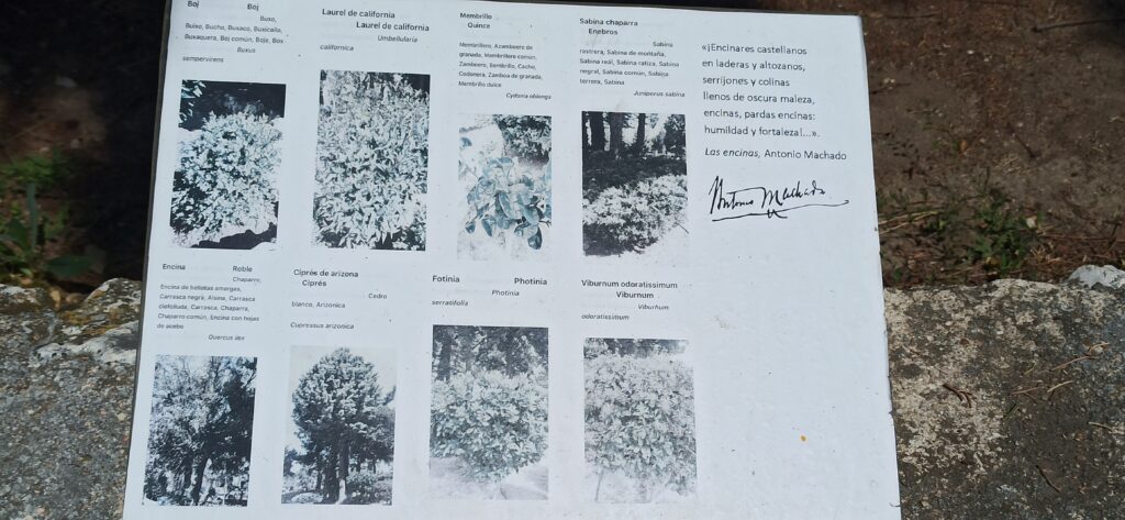 Información general de la vegetación en el parque Mudéjar