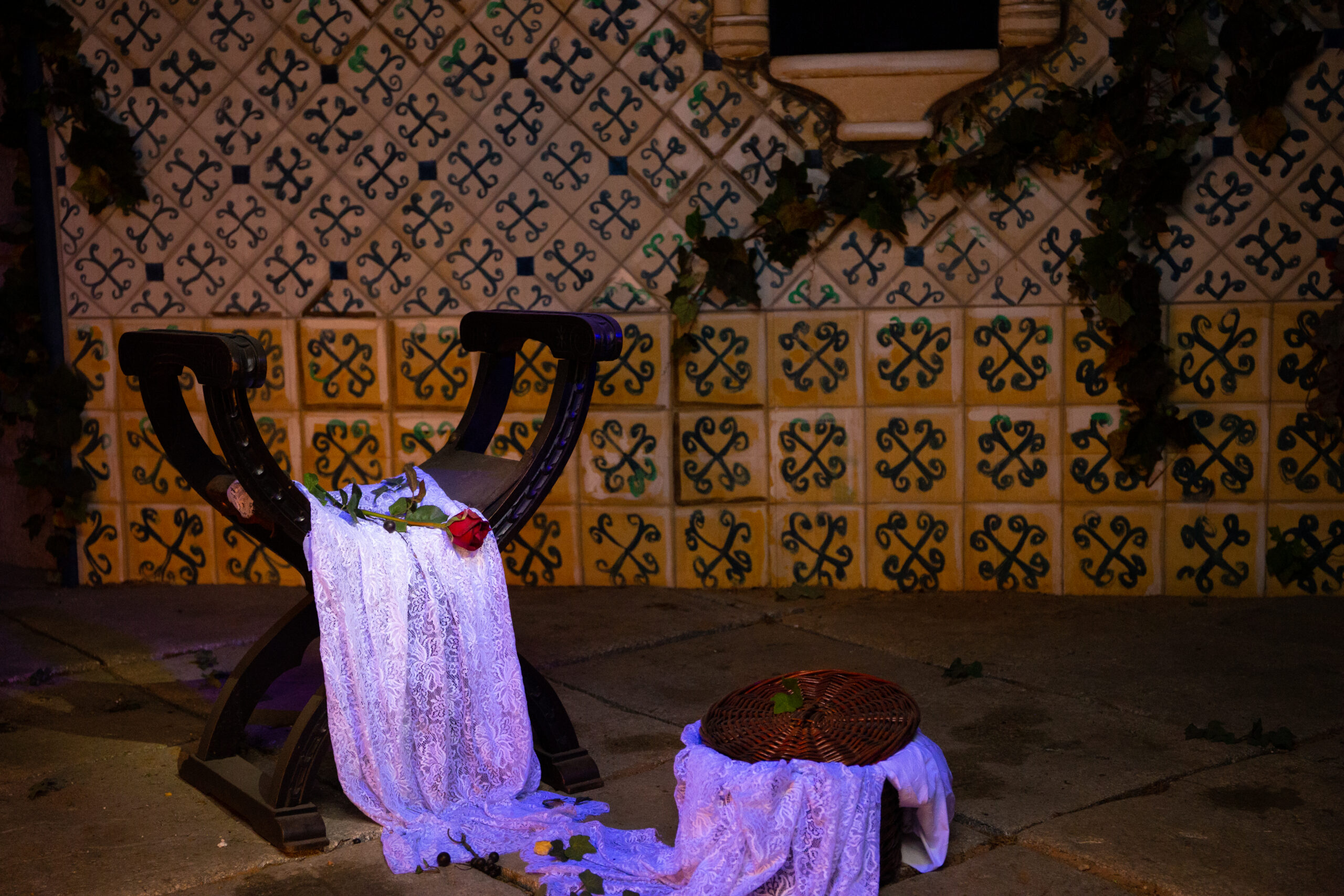 PCO-Dama (3)